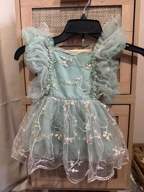 Amazon Girls' Sage Green Floral Embroidered Tulle Dress